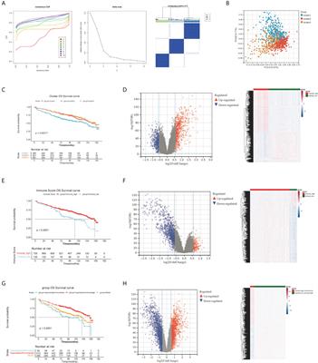 An emerging prognosis prediction model for multiple myeloma: Hypoxia-immune related microenvironmental gene signature